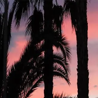 Vendrell Platja 3* קאלאפיי