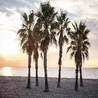 Vendrell Platja 3*