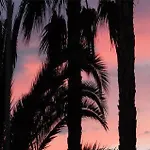 Vendrell Platja 3* Калафелл