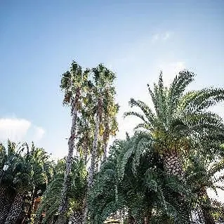Vendrell Platja Hotell 3*